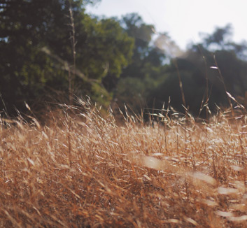 法国队在激烈比赛中展示强大实力